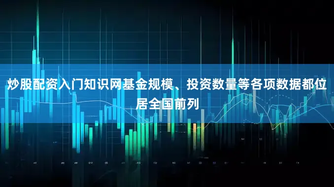 炒股配资入门知识网基金规模、投资数量等各项数据都位居全国前列