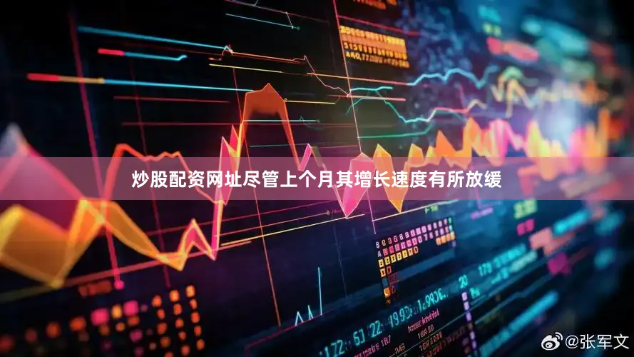 炒股配资网址尽管上个月其增长速度有所放缓