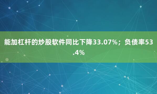 能加杠杆的炒股软件同比下降33.07%；负债率53.4%