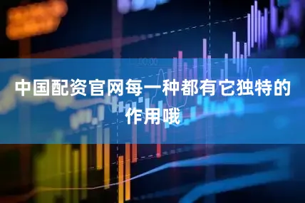 中国配资官网每一种都有它独特的作用哦