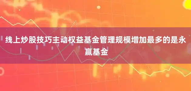 线上炒股技巧主动权益基金管理规模增加最多的是永 赢基金