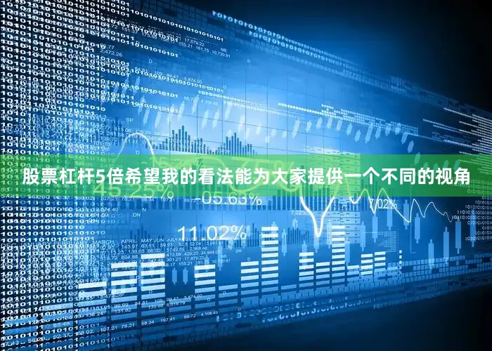 股票杠杆5倍希望我的看法能为大家提供一个不同的视角